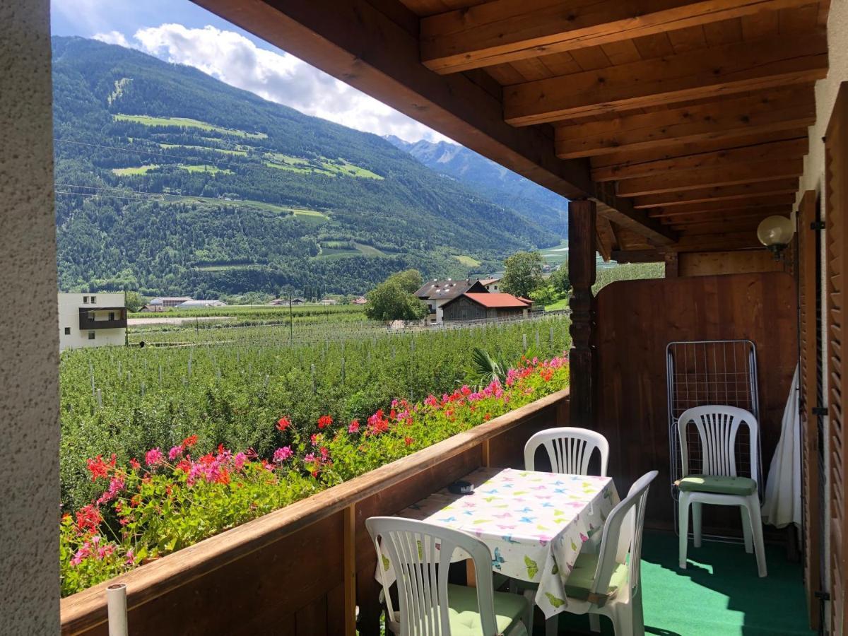 Pixnerhof - Urlaub Am Biohof Apartment Castelbello Bagian luar foto